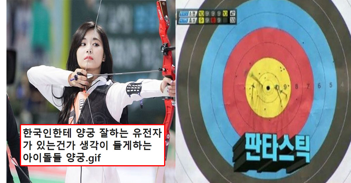  양궁 잘하는 유전자가 있는건가 싶은 K-국민들