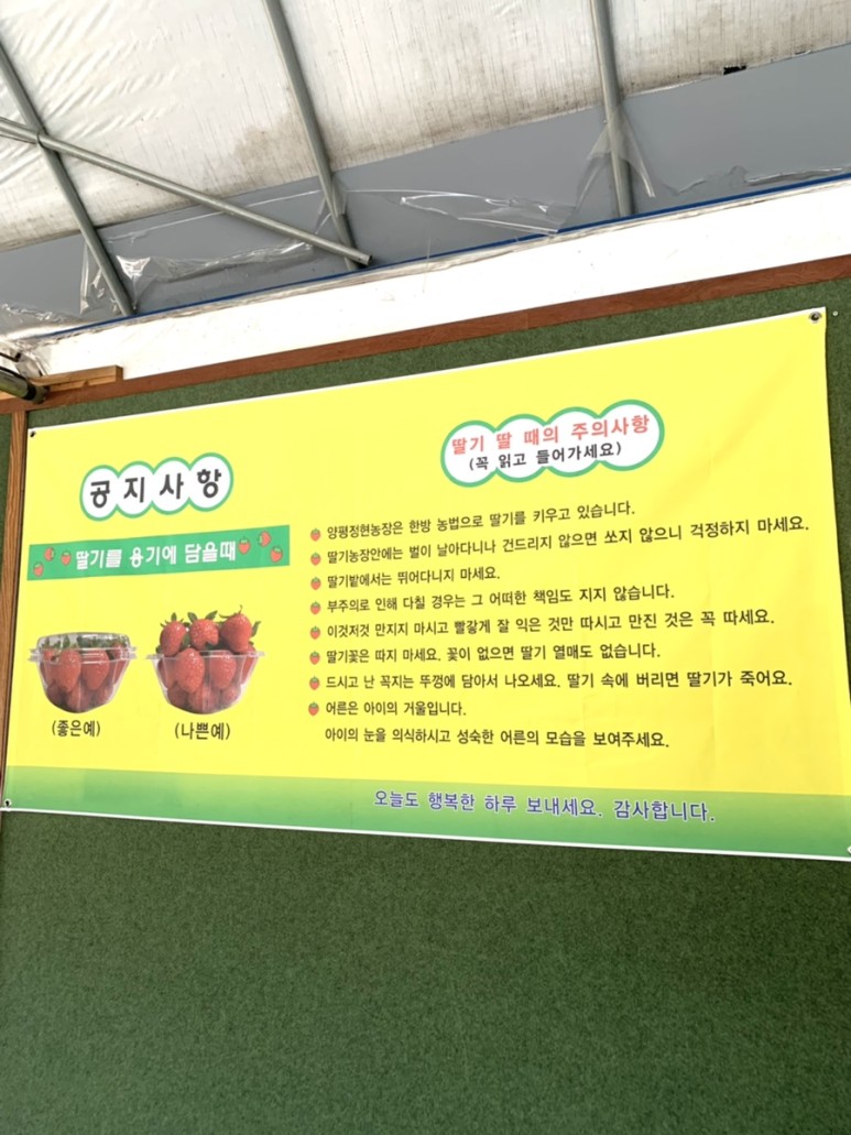 정현딸기농장, 4