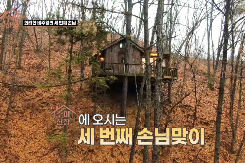 김수미의 새우젓 순두부찌개 레시피 그리고 촬영지까지 모두 공개! 수미산 장비 실체는 비광 : 힐링 버라이어티 속 131