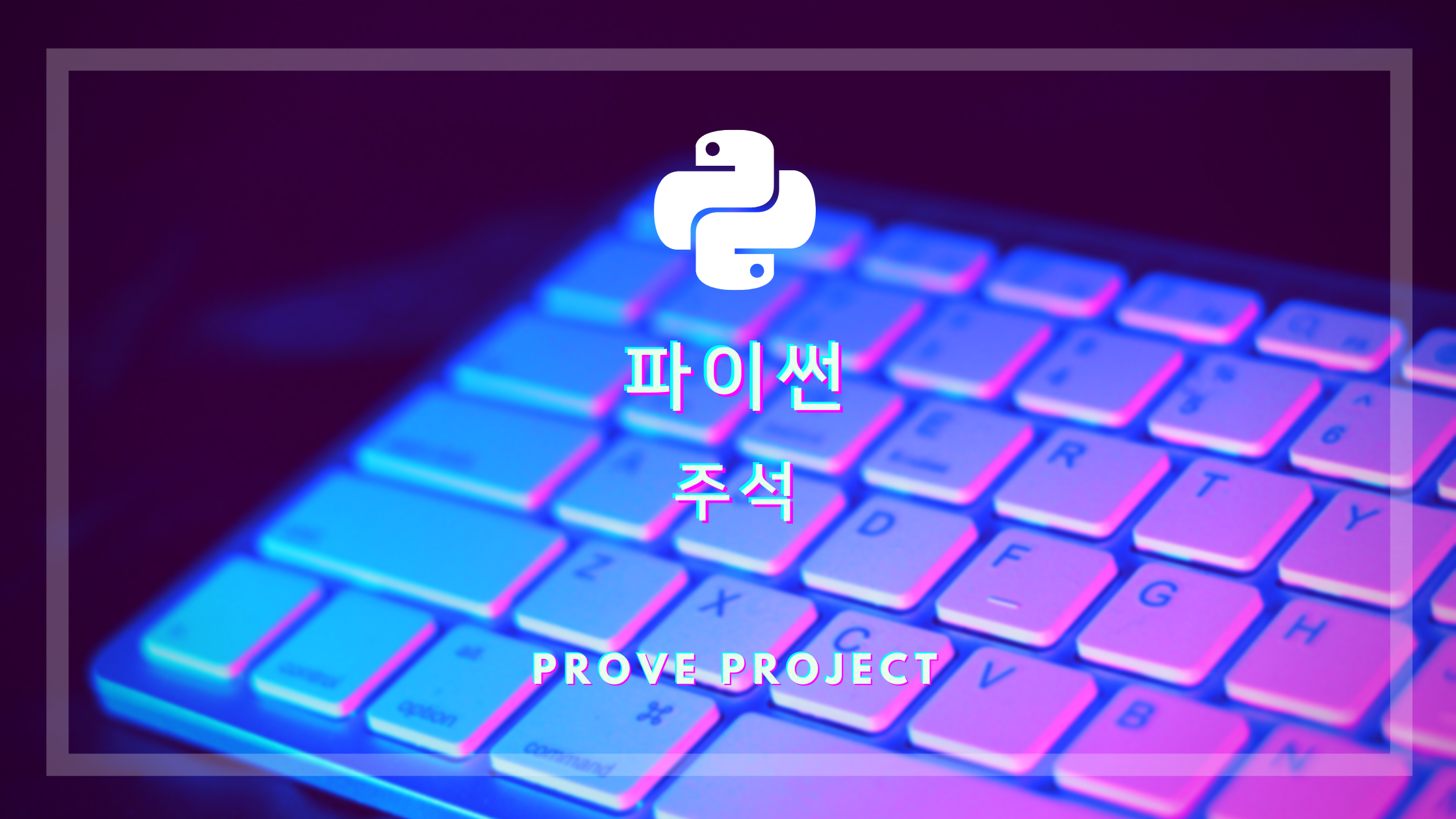  파이썬 기초 | 주석 넣기