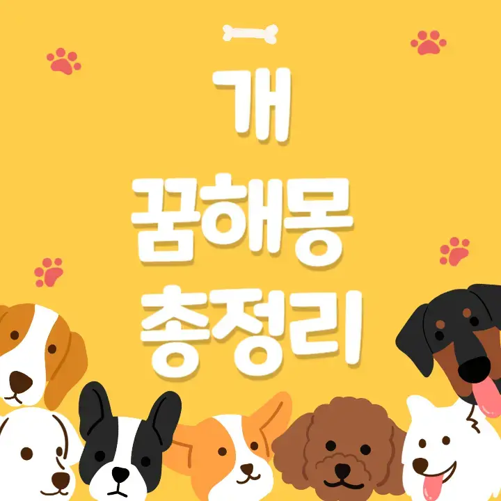 개-꿈해몽-총정리