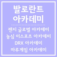 발로란트 아카데미