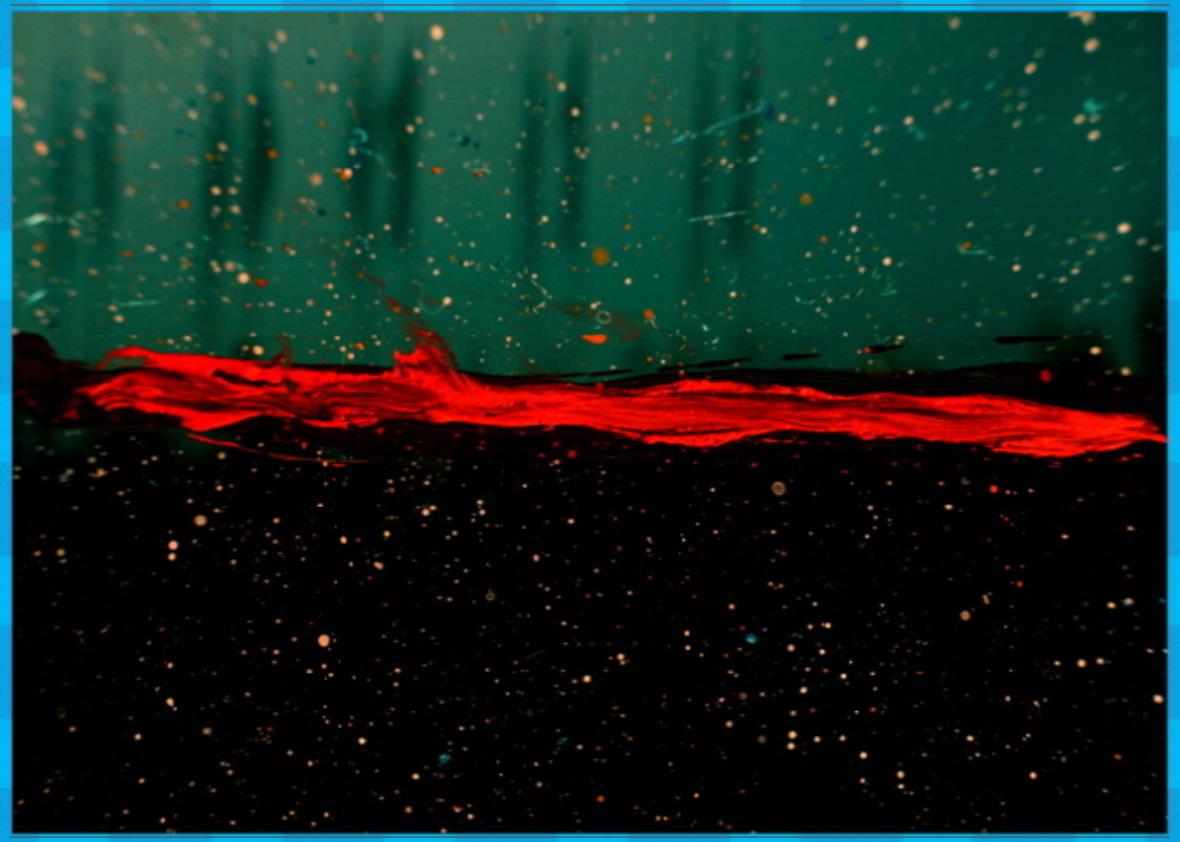 과일의 꿈, 과일을 송두리째 2