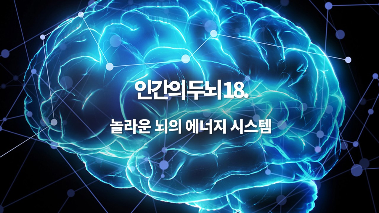 인간의 두뇌 18. 놀라운 뇌의 에너지 시스템: 글루코스에서 단백질까지의 여행