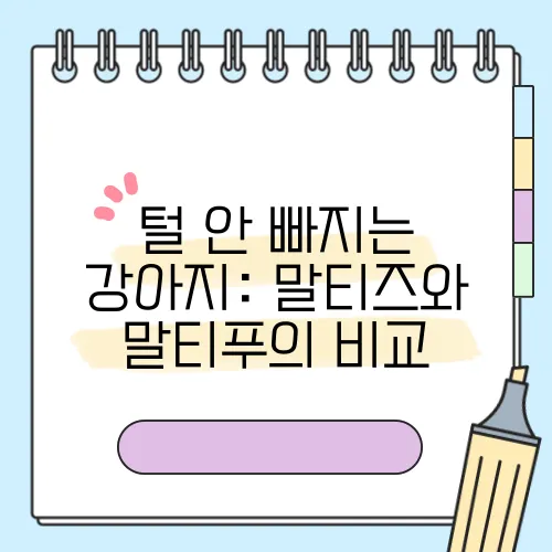 털 안 빠지는 강아지: 말티즈와 말티푸의 비교