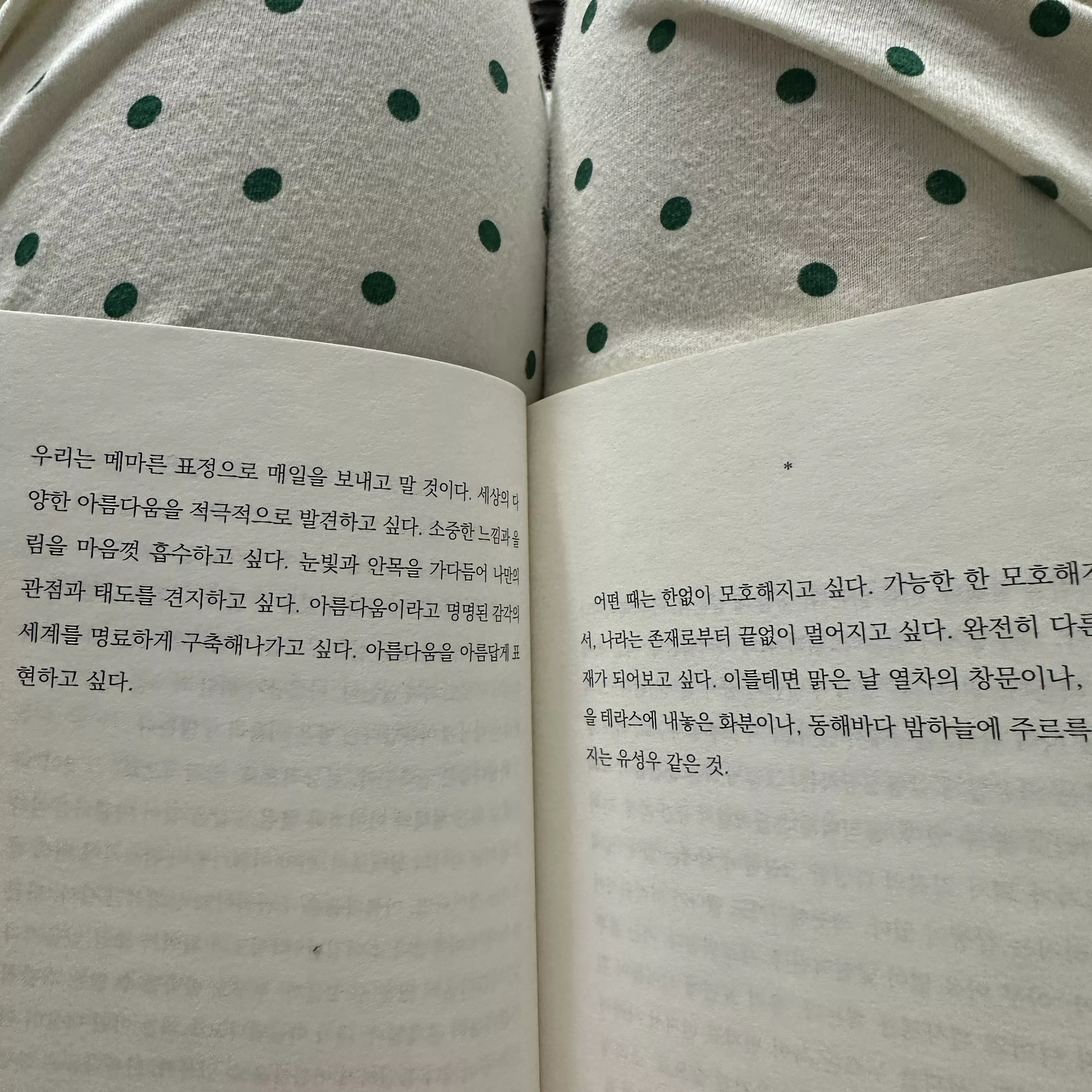동생이 준 책