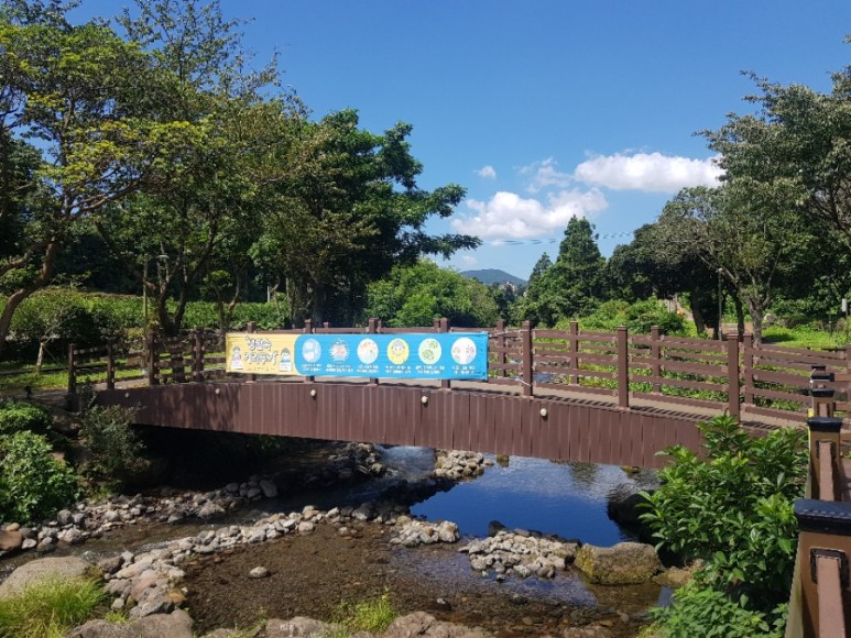 제주버스노선 2020.09 제주 800번 800-1번 6