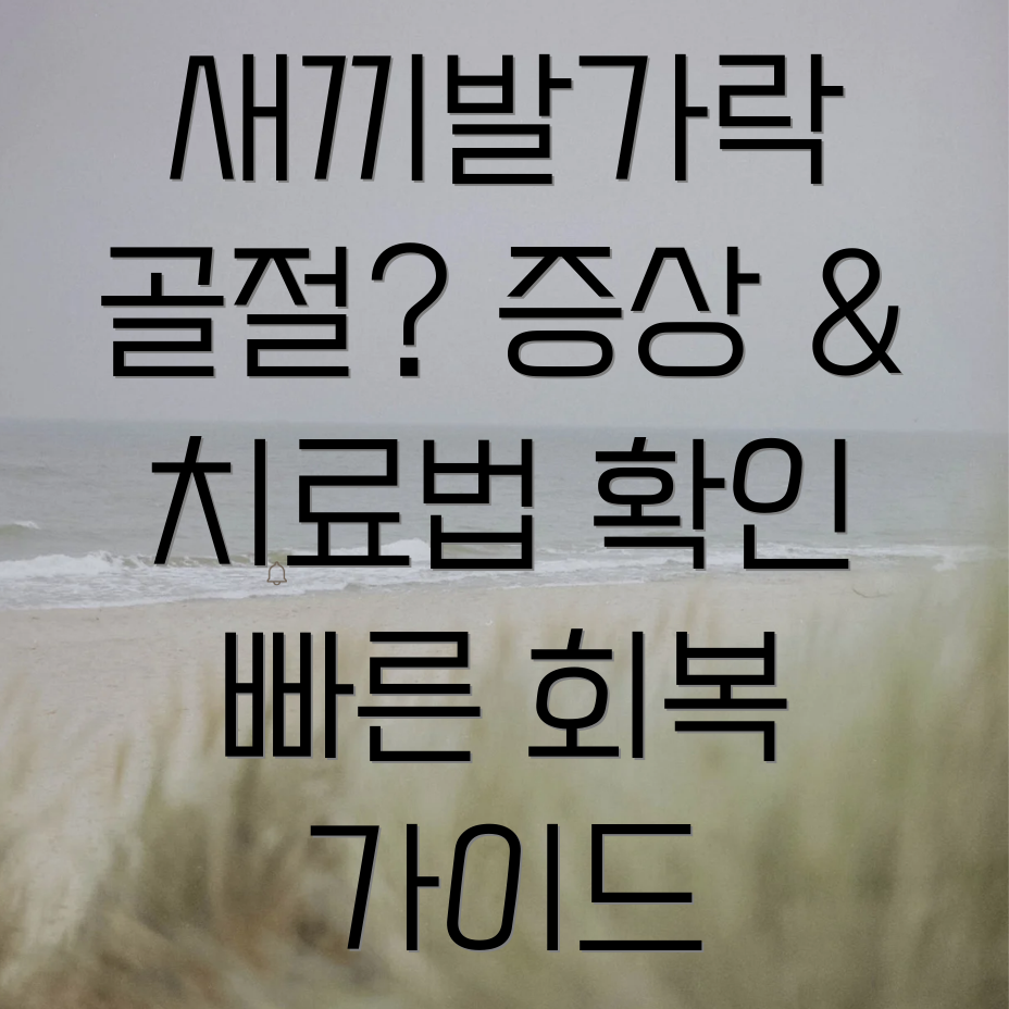 새끼발가락 골절