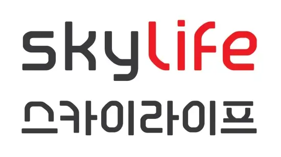 스카이라이프