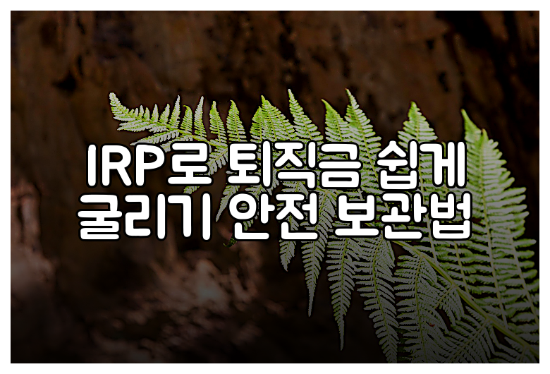 IRP로 퇴직금 쉽게 굴리기 안전 보관법