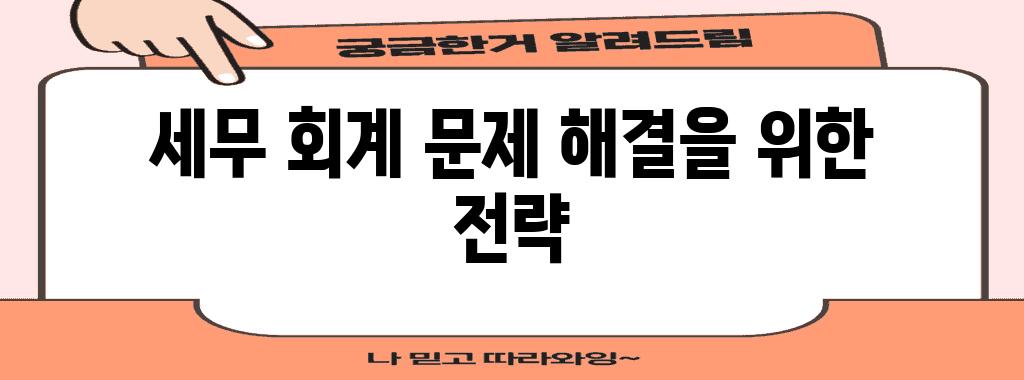 세무 회계 문제 해결을 위한 전략