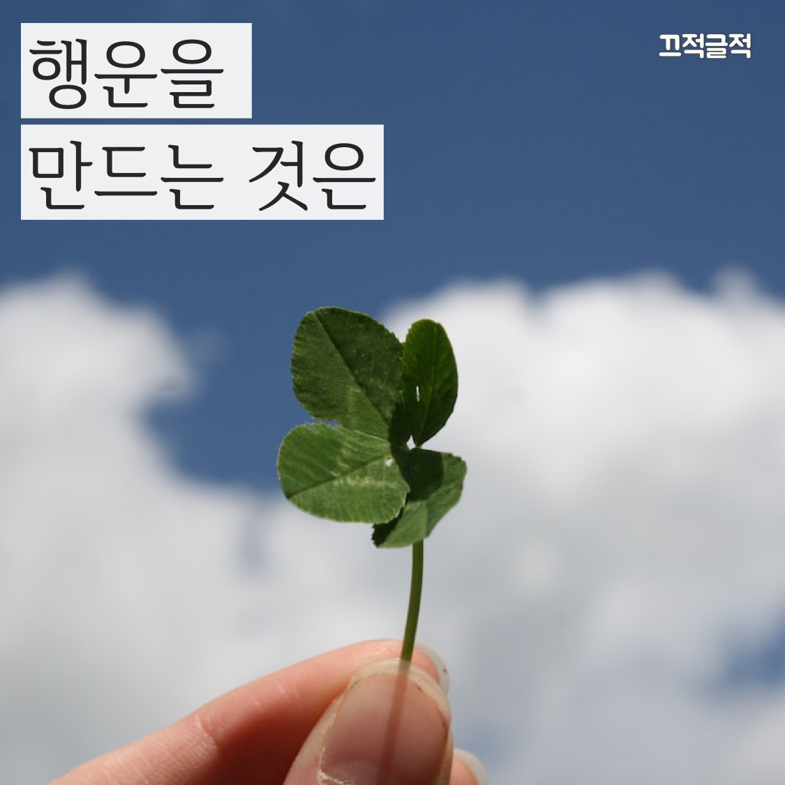  (동기 부여/명언/명언 모음/마음가짐/MINDSET/자기 계발) 행운을 만드는 방법