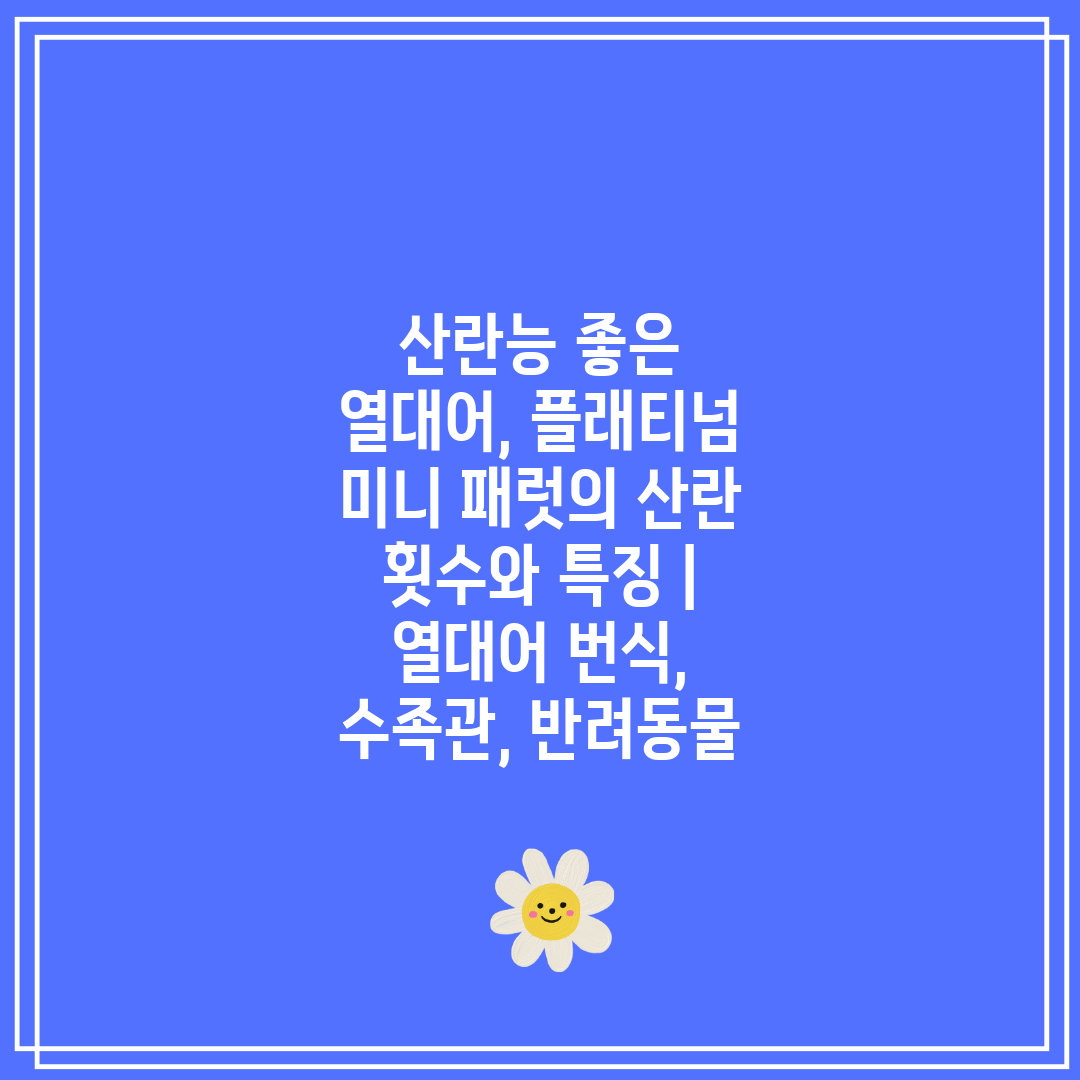 산란능 좋은 열대어, 플래티넘 미니 패럿의 산란 횟수와