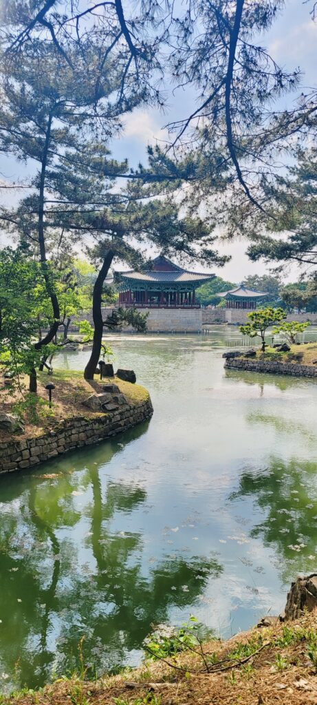여러분들이 경주 포항 여행을 가야만 하는 이유 5가지