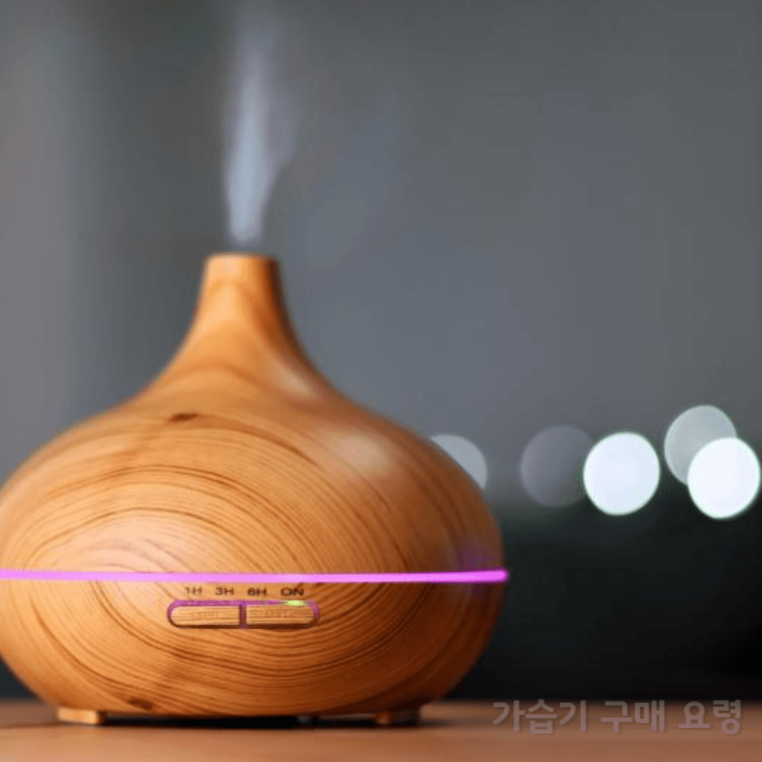 가습기 구매요령