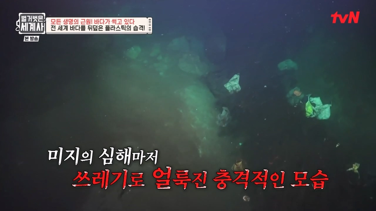 벌거벗은 세계사.E90.230315p-NEXT.mp4_20230419_204735.506.jpg