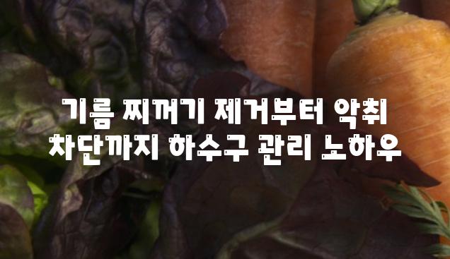 기름 찌꺼기 제거부터 악취 차단까지 하수구 관리 노하우