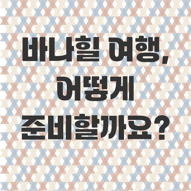 다낭 바나힐 여행_2