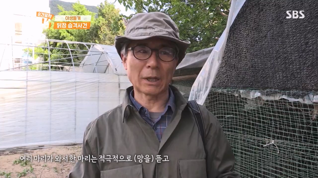 순간포착 세상에 이런일이.E1231.230604p-NEXT.mp4_20230609_202234.604.jpg