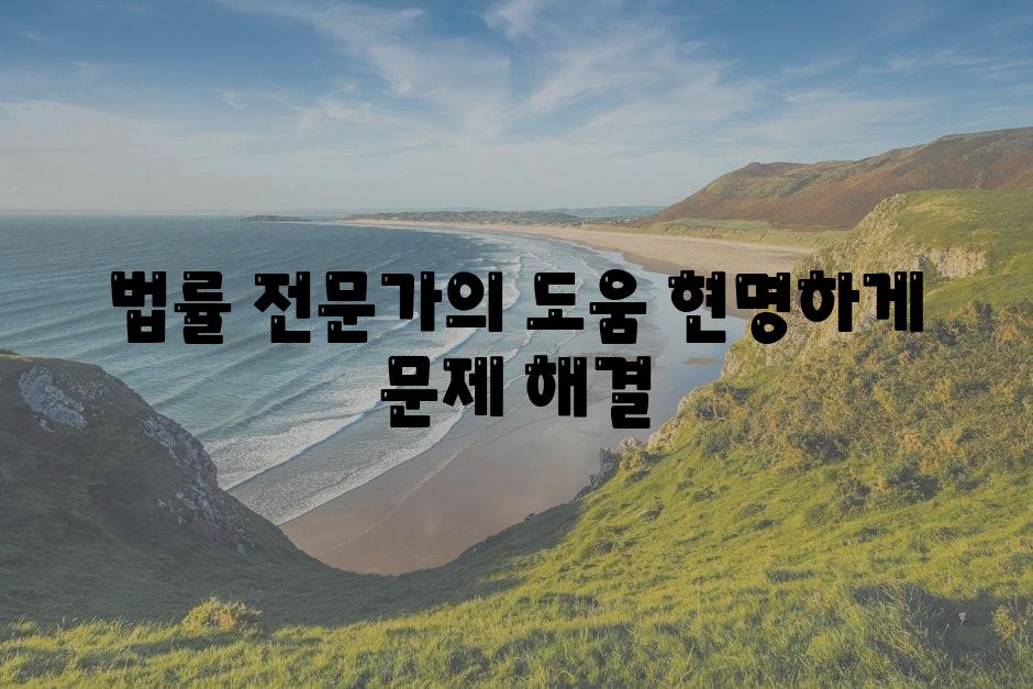 법률 전문가의 도움 현명하게 문제 해결