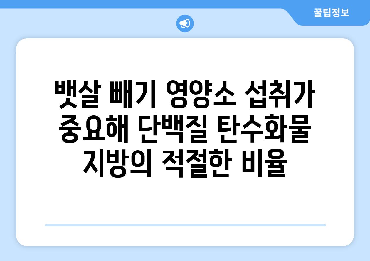 뱃살 빼기 영양소 섭취가 중요해 단백질 탄수화물 지방의 적절한 비율