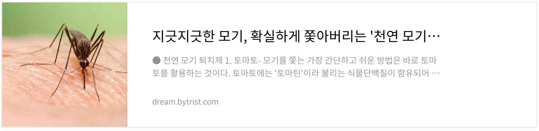 천연 모기 퇴치제&#39; 3가지