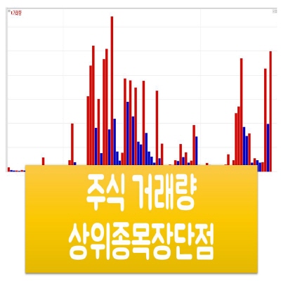 주식 거래량 상위종목 장단점
