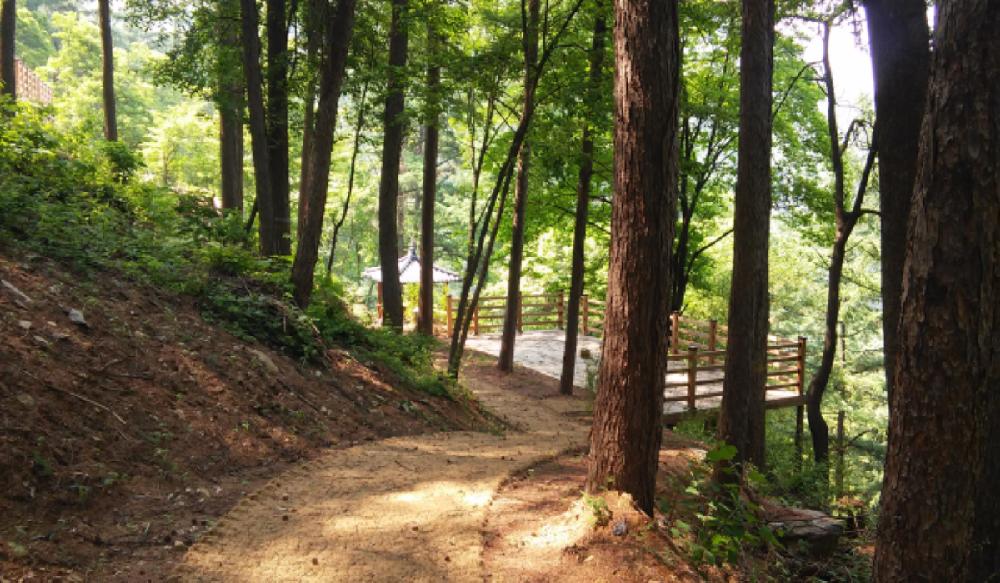 계명산 자연휴양림(치유의 숲) 2