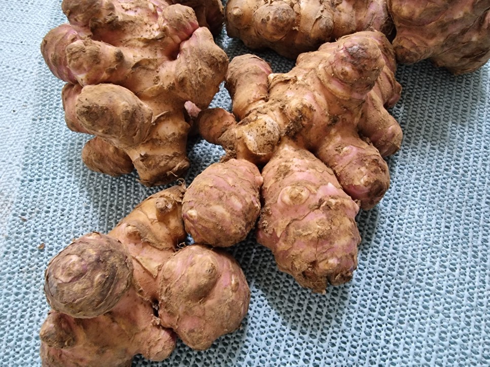 철분 많은 고기 철분이 많은 4