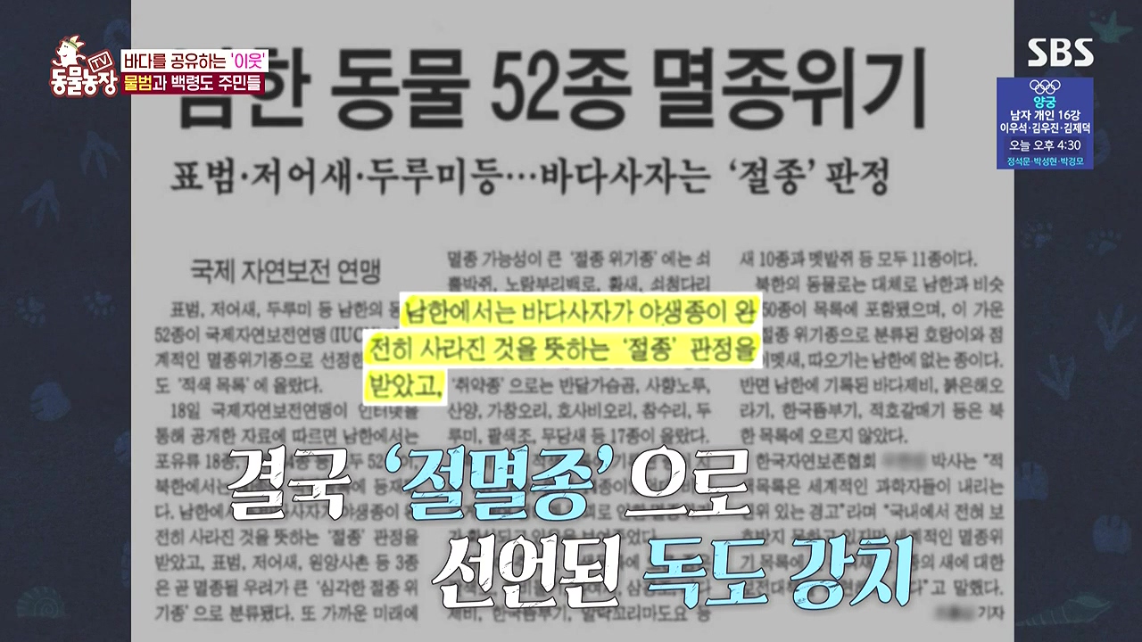TV 동물농장.E1183.240805p-NEXT.mp4_20240804_154455.526.jpg