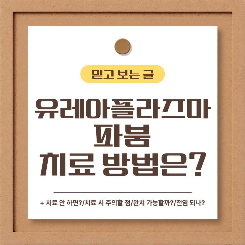  유레아플라즈마 파붐 치료 방법은?