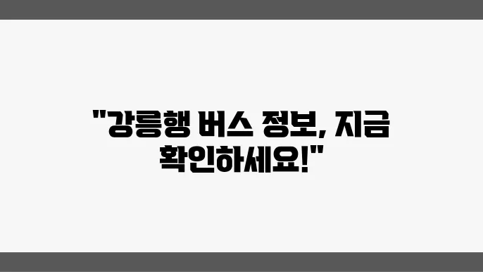 강릉 시외버스터미널 시간표 및 예매 운영정보 알아보기
