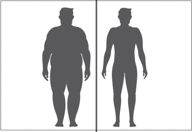 “뚱뚱한 사람일수록 암 수술 후 생존율 높다&quot;...그러나 췌장암 위험 높아