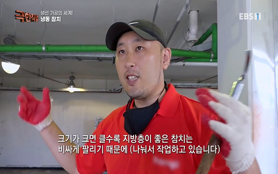 TV - 교육의 중심 EBS생선가공의 세계!-냉동참치, 참치액. 순살생선-.mp4_20220906_201931.494.jpg
