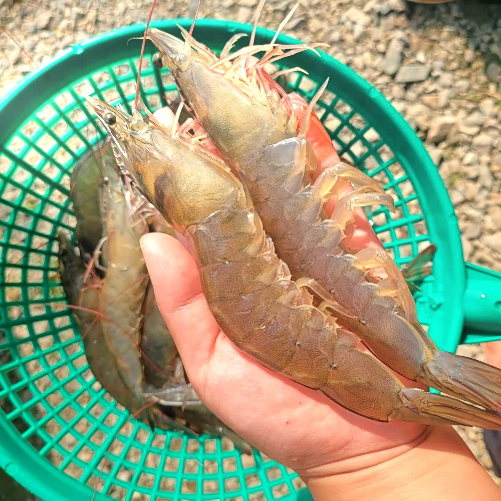 거북수산 이미지