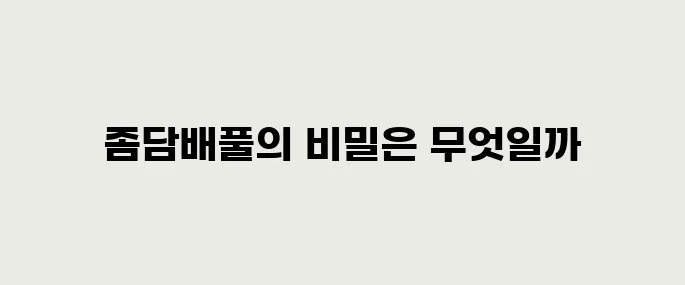 좀담배풀 효능, 부작용 및 활용법