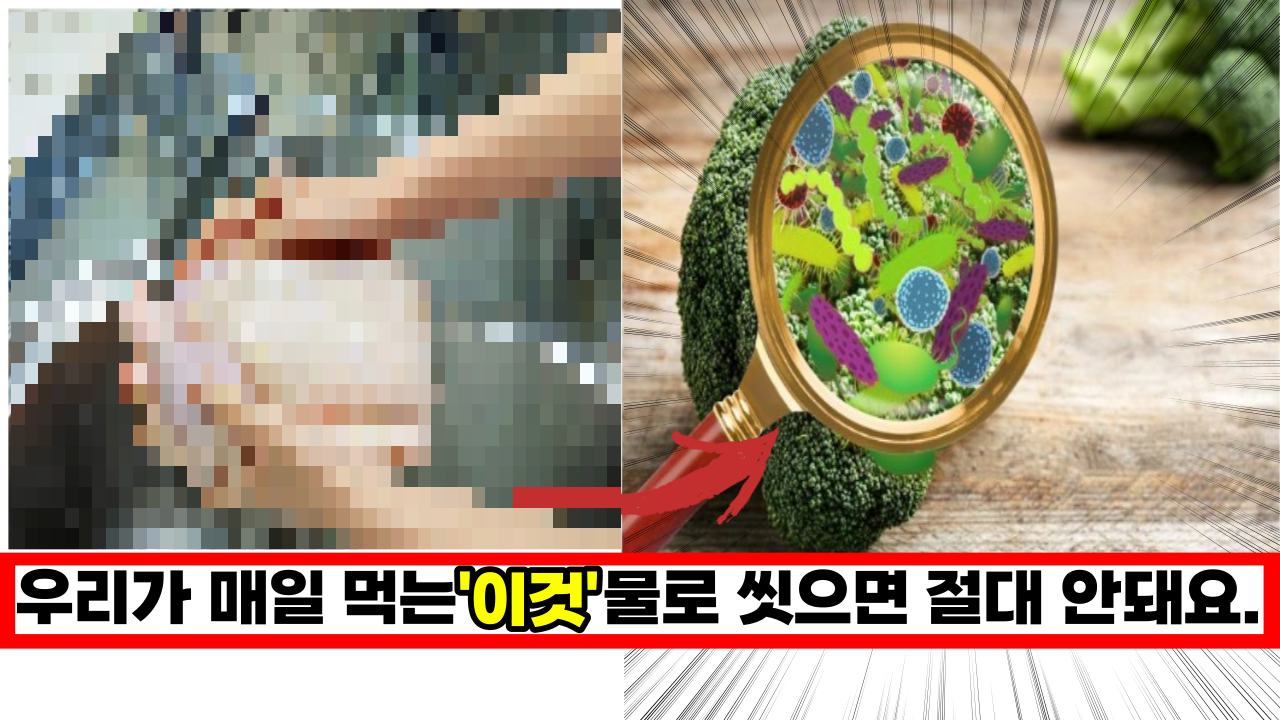  우리가 매일 먹는 '이 식품' 절대 씻으면 안되요. 식중독 걸립니다.