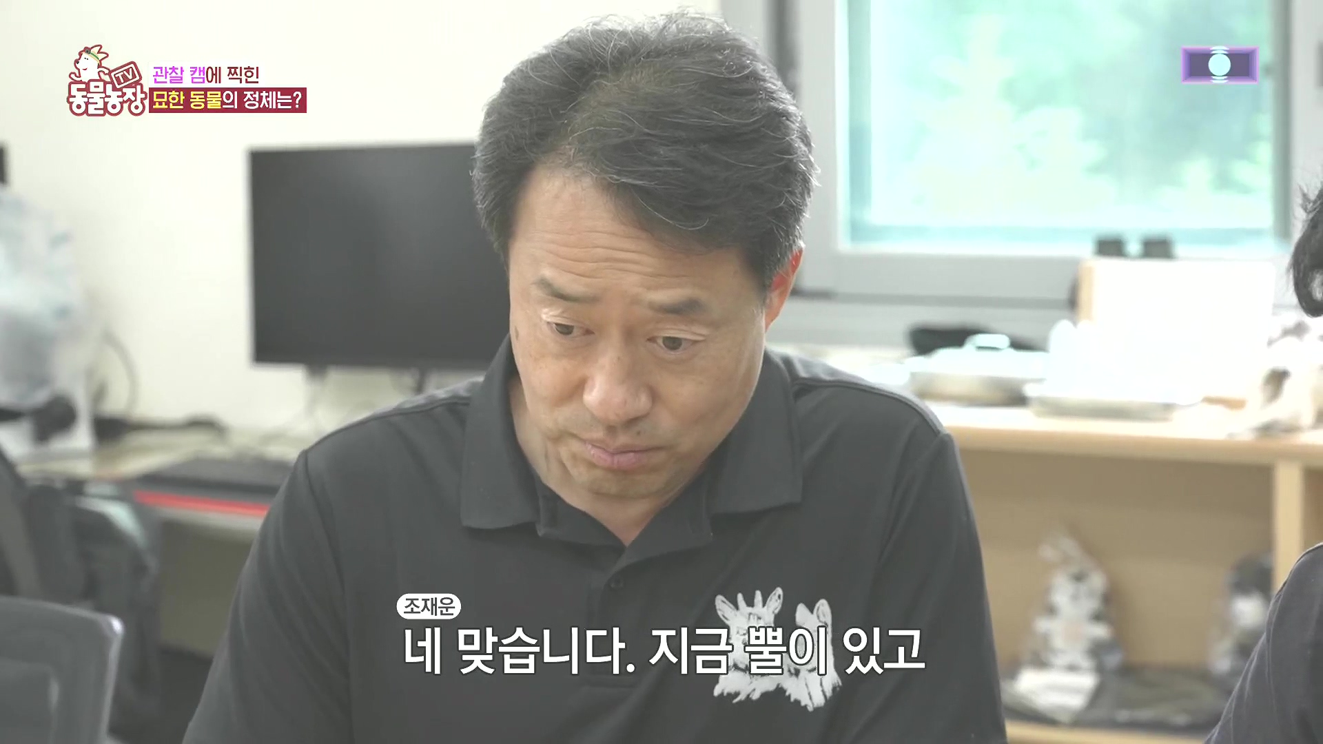TV 동물농장.E1185.240818p.H264-F1RST.mp4_20240818_160759.505.jpg
