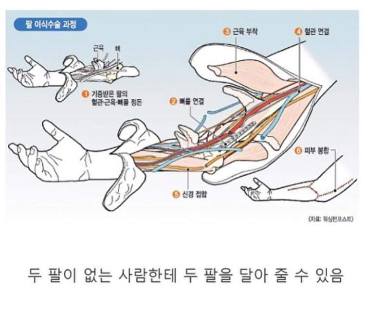  언뜻 생각해보면 이상한 현대의학의 현상황