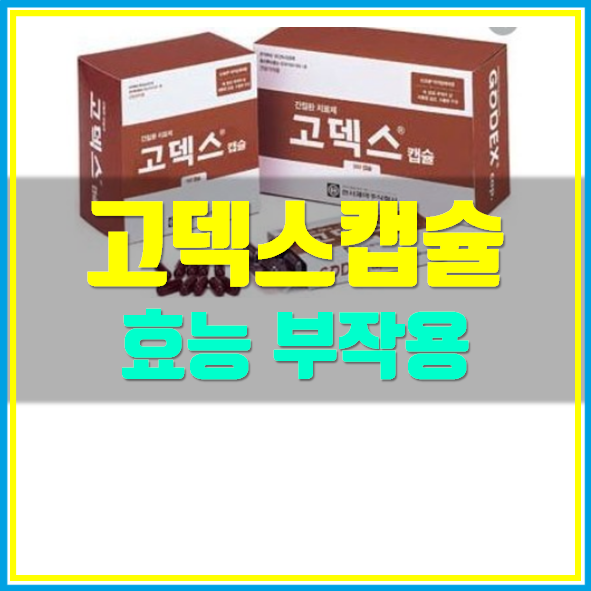  고덱스 캡슐 효능 부작용 정보