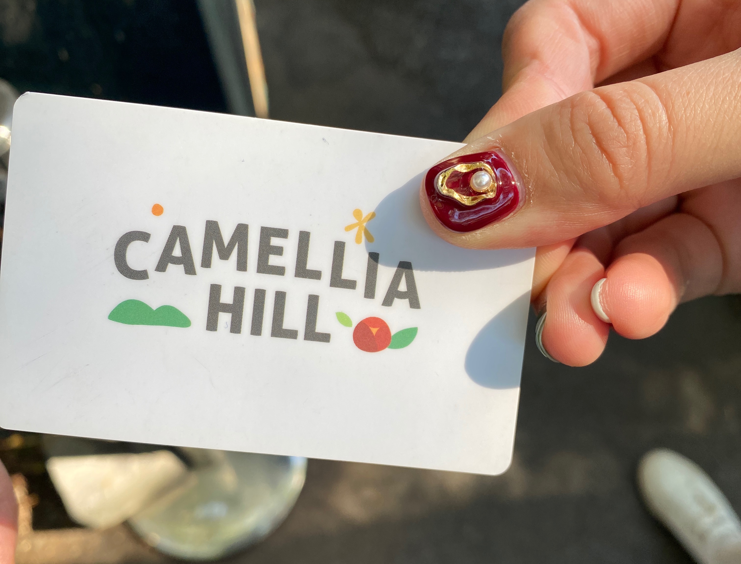  제주 카멜리아힐 CAMELLIA HILL 가을정원/서귀포 여행지