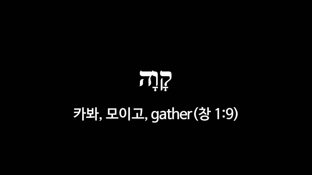 창세기 1장 9절&#44; 모이고(קָוָה&#44; 카봐&#44; gather) - 히브리어 원어 정리