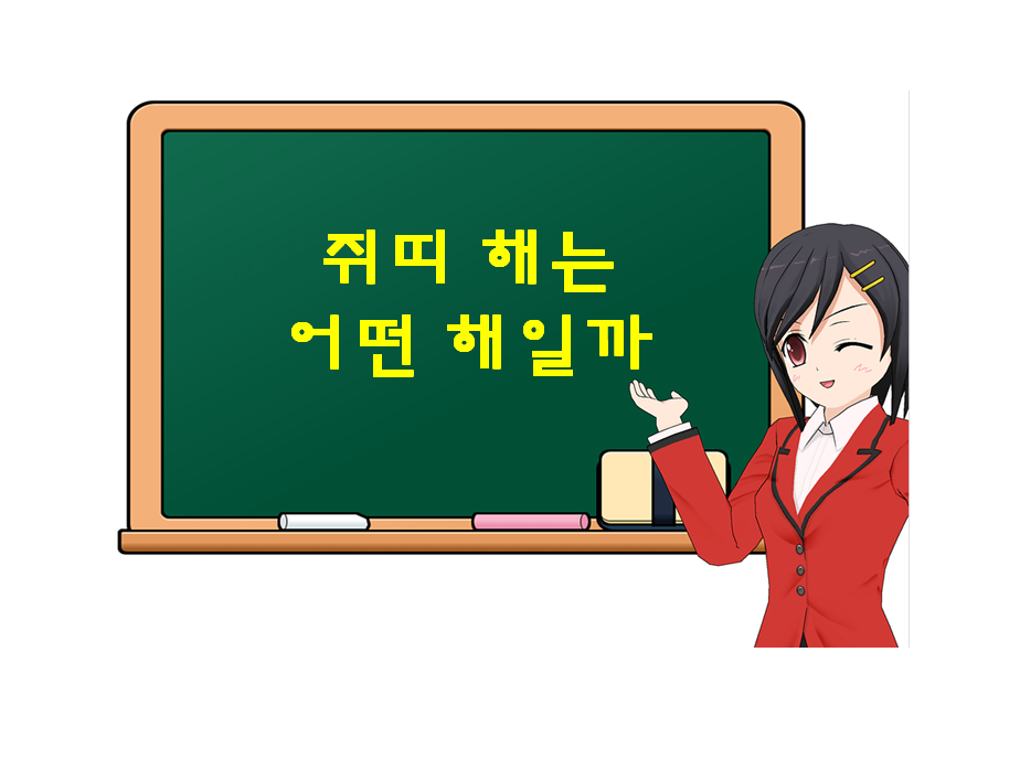  쥐띠 해는 어떤 해일까? 성공? 실패? 혹은 기회?