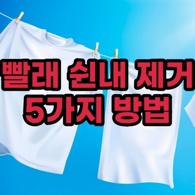  빨래 쉰냄새 해결방법 5가지