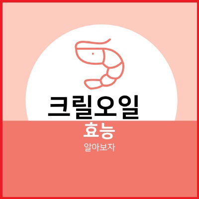  크릴오일 효능  알아보기