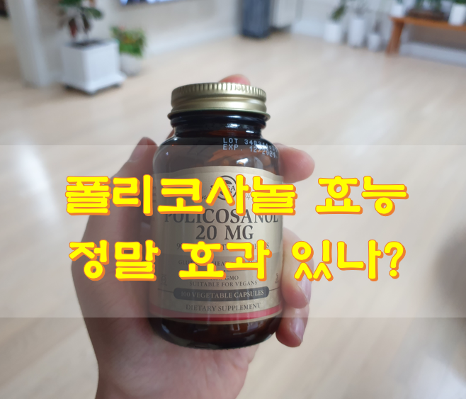  폴리코사놀 효능 정말 효과 있나?