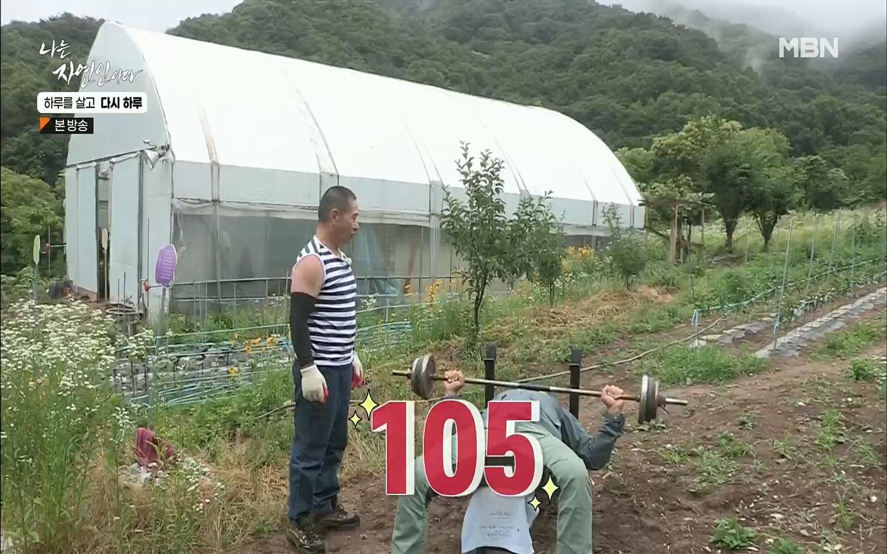 나는 자연인이다.E509.220706p.H264-F1RST.mp4_20220707_183736.228.jpg