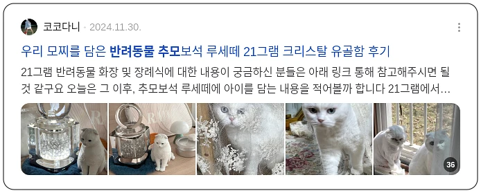 반려동물 추모_3_subsection