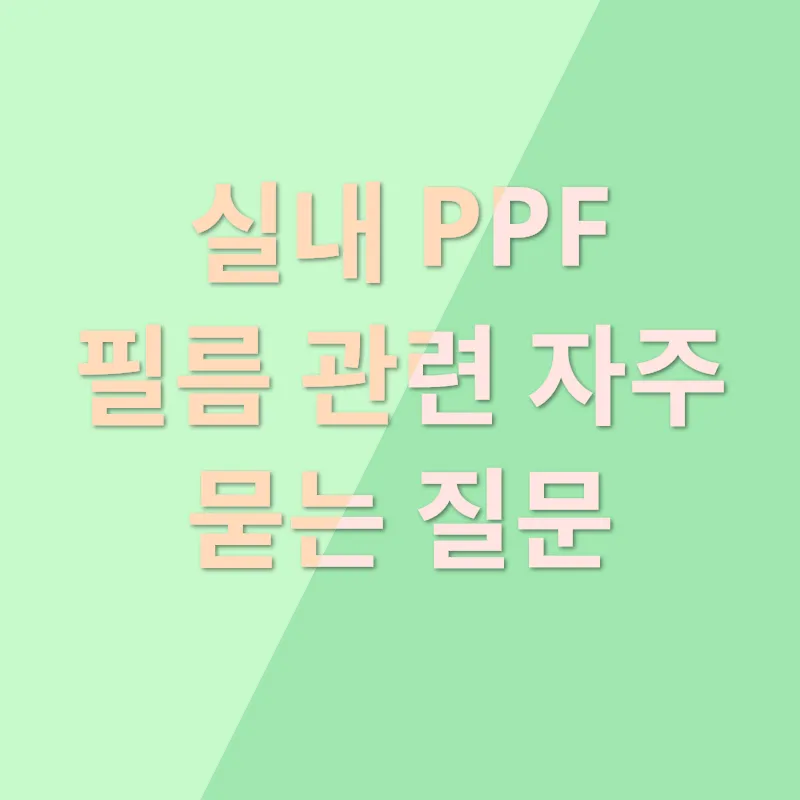 실내 PPF 필름_4