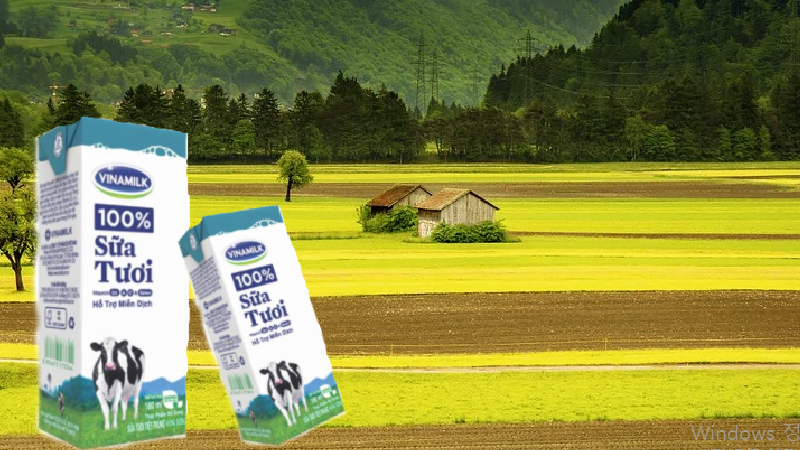  한국과는 다른 맛의 이색적인 우유 - 베트남의 대기업 비나밀크 (vinamilk)